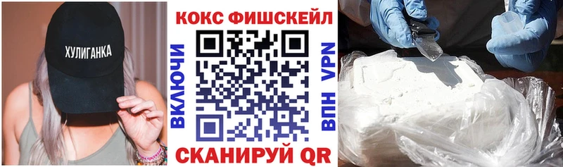 наркошоп  Дмитровск  ссылка на мегу ССЫЛКА  Cocaine Fish Scale 