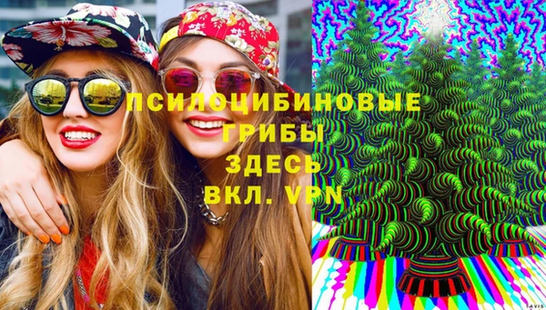альфа пвп Бородино