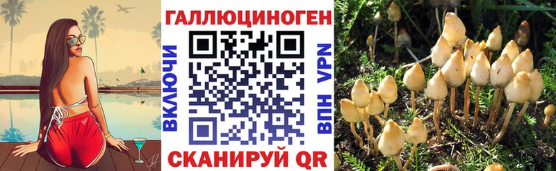 Галлюциногенные грибы мицелий  Дмитровск 