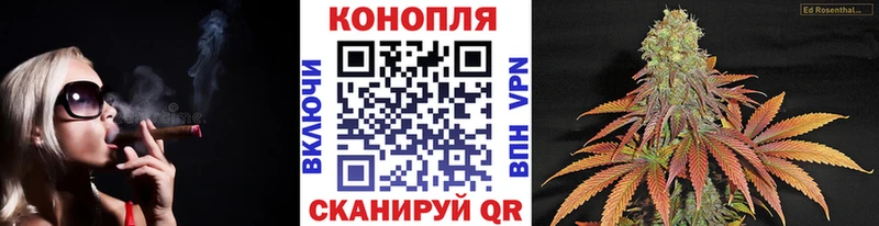 Бошки марихуана Bruce Banner  Дмитровск 